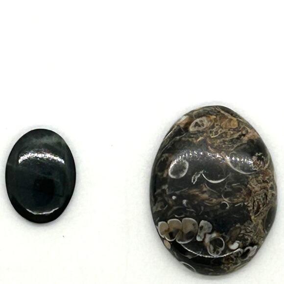 Turitella And Black Agate Cabochons For Jewelry Making Lot of 2 - Picture 1 of 5